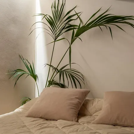 Loft Mediterraneo By Propertize
